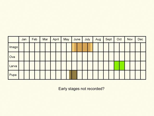  Life stages table Copyright Martin Evans 