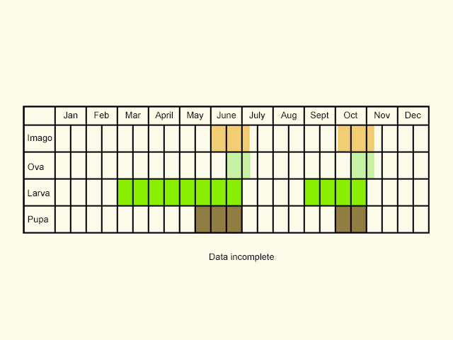  Life stages table Copyright Martin Evans 