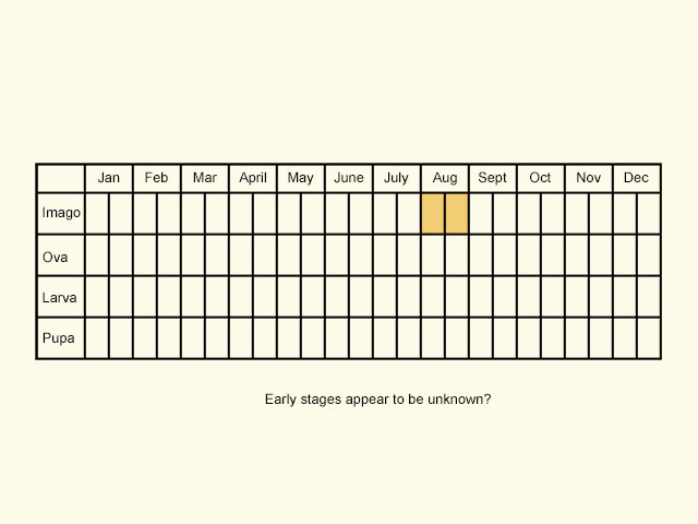  Life stages table Copyright Martin Evans 