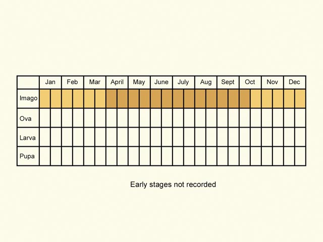  Life stages table Copyright Martin Evans 