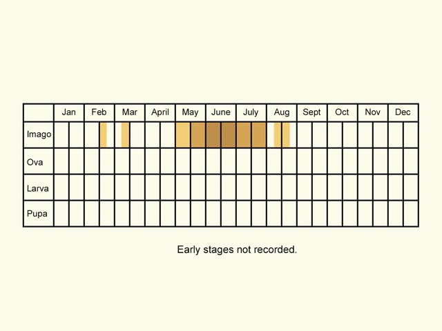  Life stages table Copyright Martin Evans 