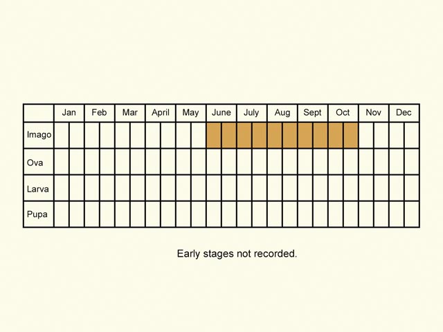  Life stages table Copyright Martin Evans 