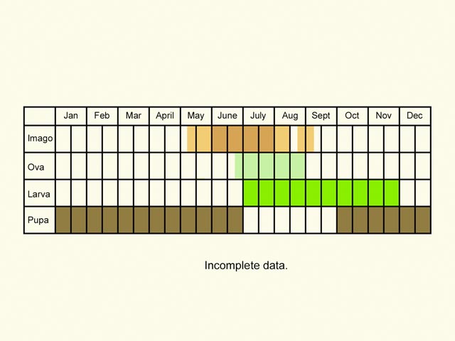  Life stages table Copyright Martin Evans 