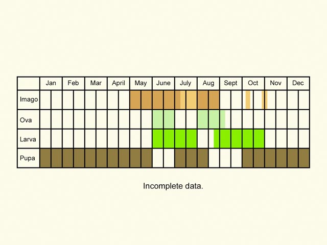  Life stages table Copyright Martin Evans 