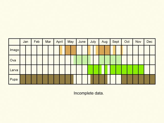  Life stages table Copyright Martin Evans 