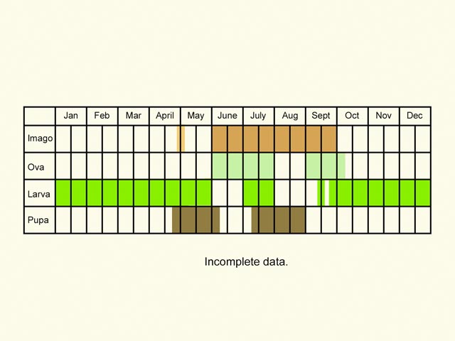  Life stages table Copyright Martin Evans 