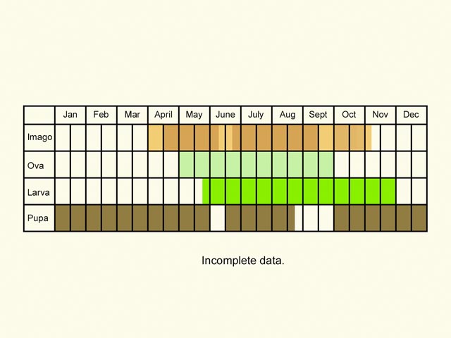  Life stages table Copyright Martin Evans 