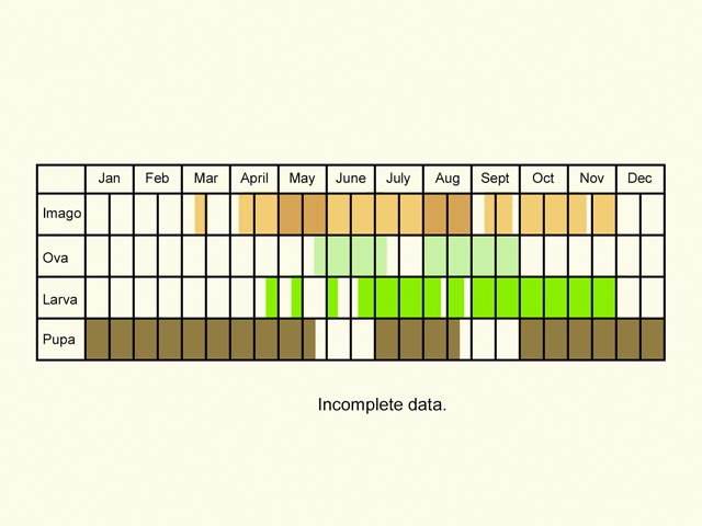  Life stages table Copyright Martin Evans 