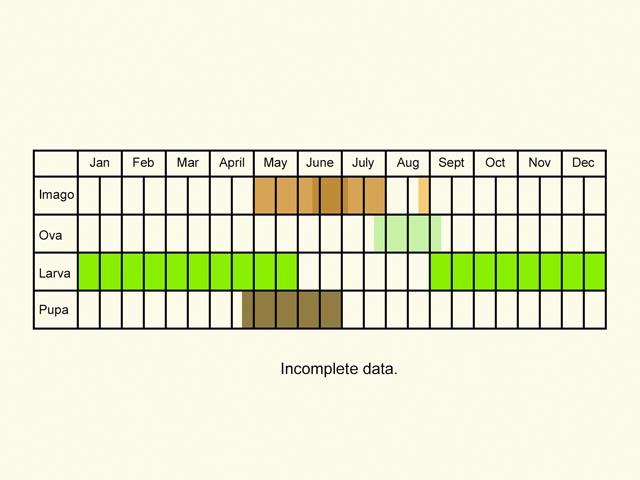  Life stages table Copyright Martin Evans 