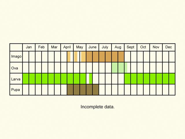  Life stages table Copyright Martin Evans 