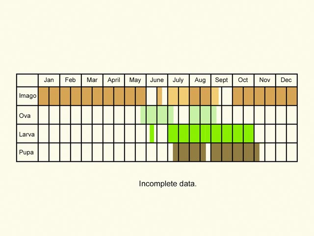  Life stages table Copyright Martin Evans 