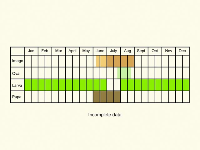  Life stages table Copyright Martin Evans 