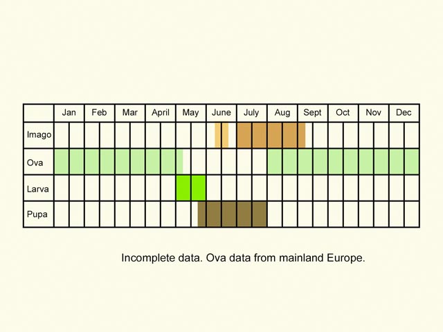  Life stages table Copyright Martin Evans 