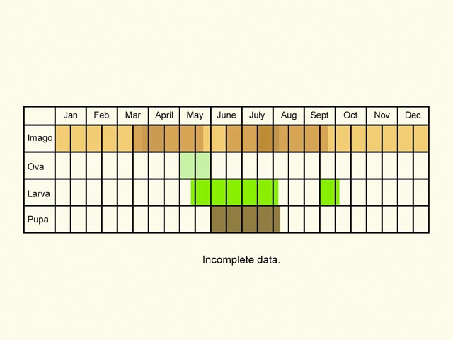  Life stages table Copyright Martin Evans 