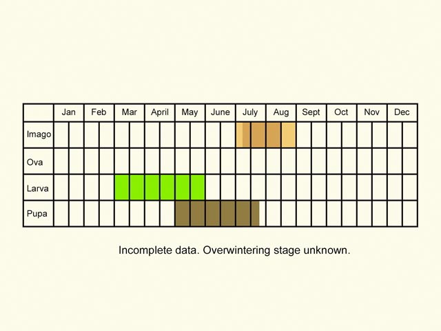  Life stages table Copyright Martin Evans 