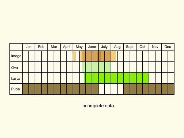  Life stages table Copyright Martin Evans 