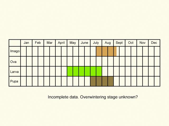  Life stages table Copyright Martin Evans 