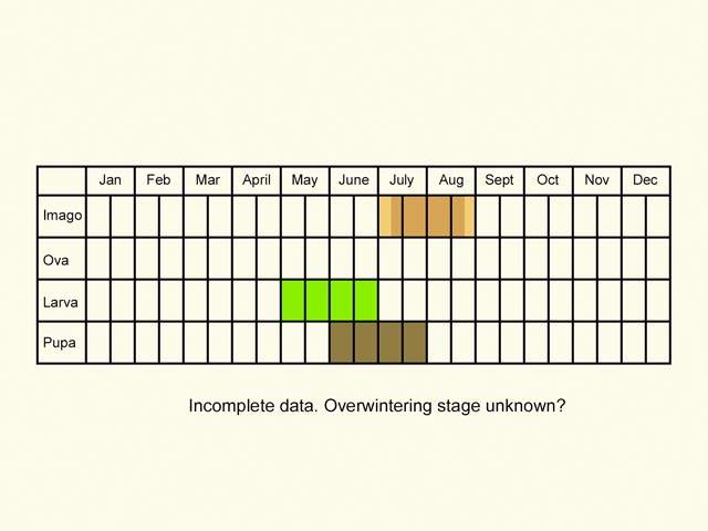  Life stages table Copyright Martin Evans 