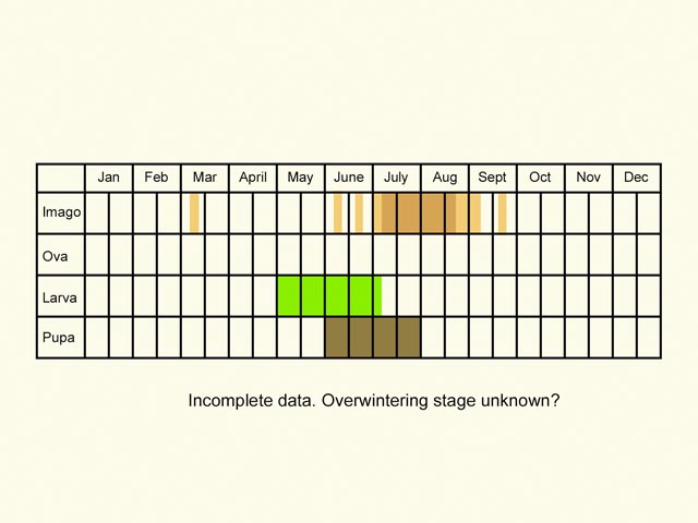  Life stages table Copyright Martin Evans 