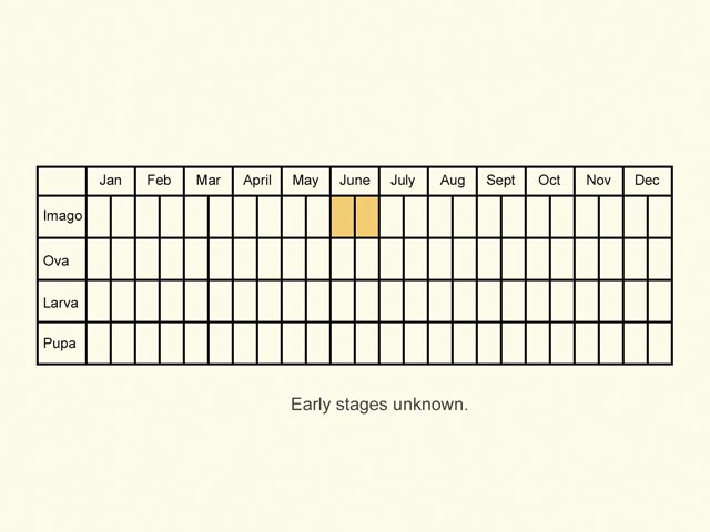  Life stages table Copyright Martin Evans 