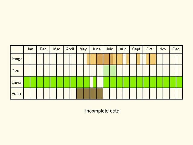  Life stages table Copyright Martin Evans 