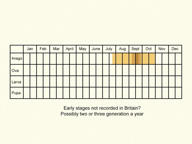  Life stages table Copyright Martin Evans 