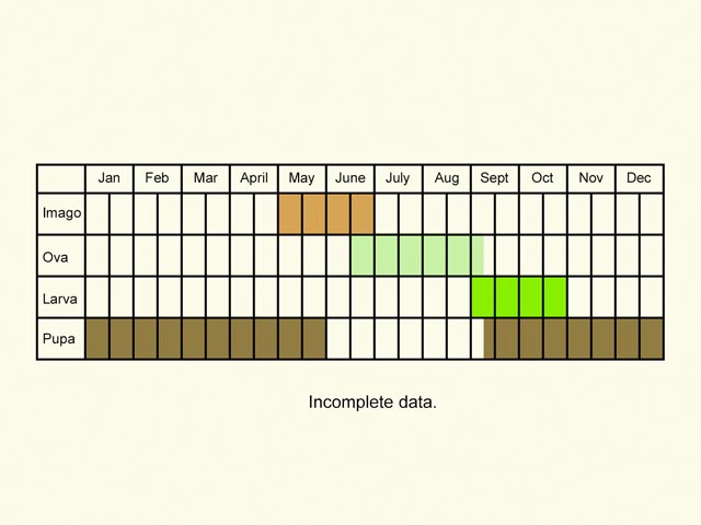  Life stages table Copyright Martin Evans 