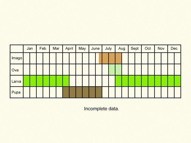  Life stages table Copyright Martin Evans 