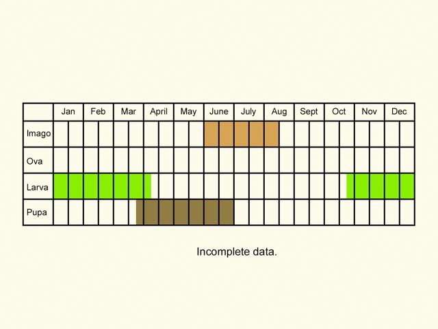  Life stages table Copyright Martin Evans 