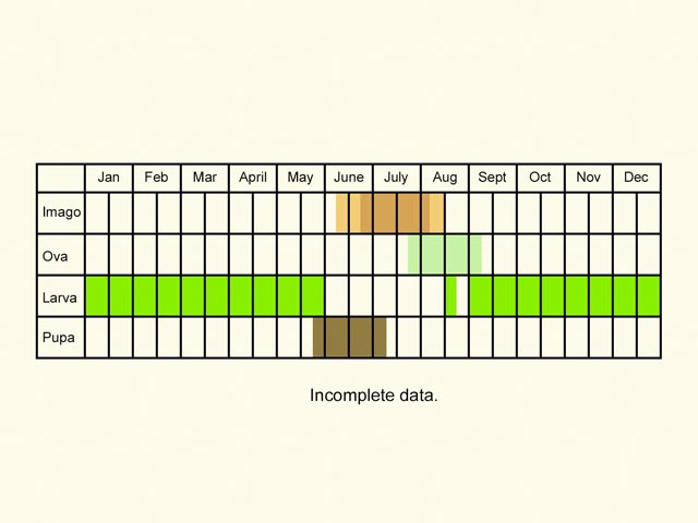  Life stages table Copyright Martin Evans 