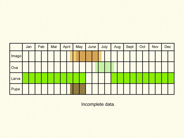  Life stages table Copyright Martin Evans 