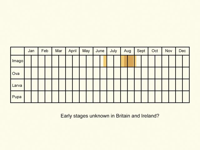  Life stages table Copyright Martin Evans 