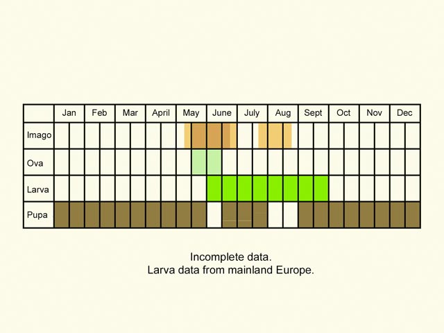  Life stages table Copyright Martin Evans 