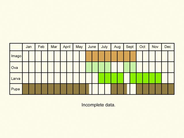  Life stages table Copyright Martin Evans 