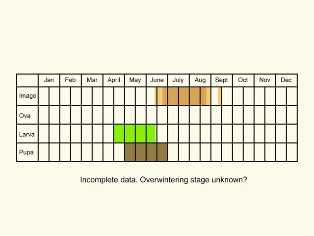  Life stages table Copyright Martin Evans 