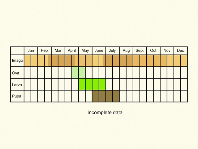  Life stages table Copyright Martin Evans 