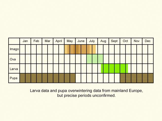  Life stages table Copyright Martin Evans 