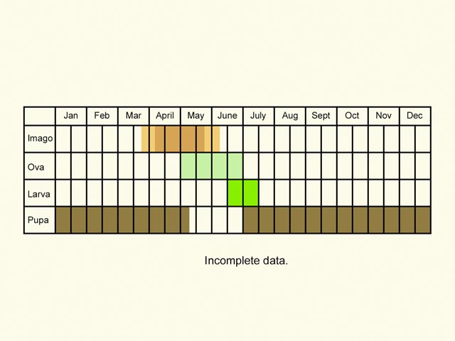  Life stages table Copyright Martin Evans 