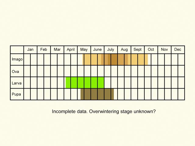  Life stages table Copyright Martin Evans 