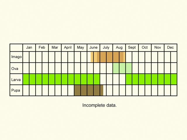  Life stages table Copyright Martin Evans 