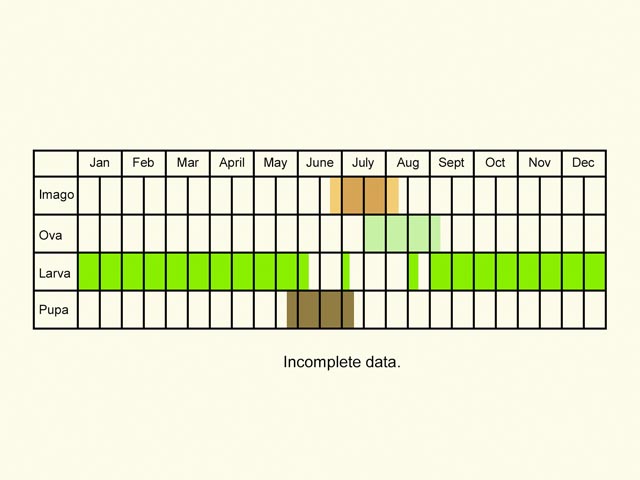  Life stages table Copyright Martin Evans 