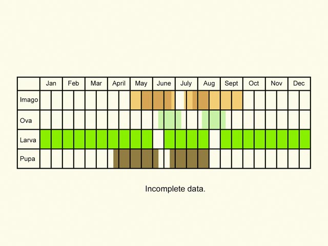  Life stages table Copyright Martin Evans 