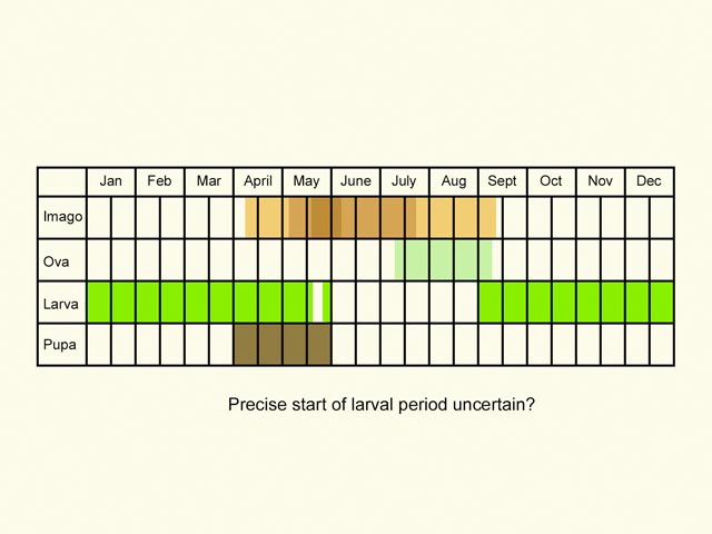  Life stages table Copyright Martin Evans 