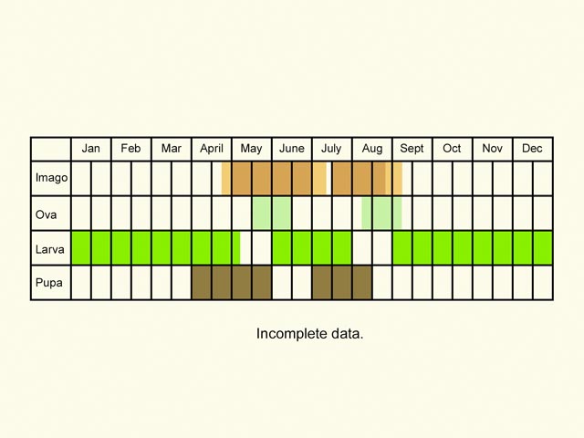  Life stages table Copyright Martin Evans 