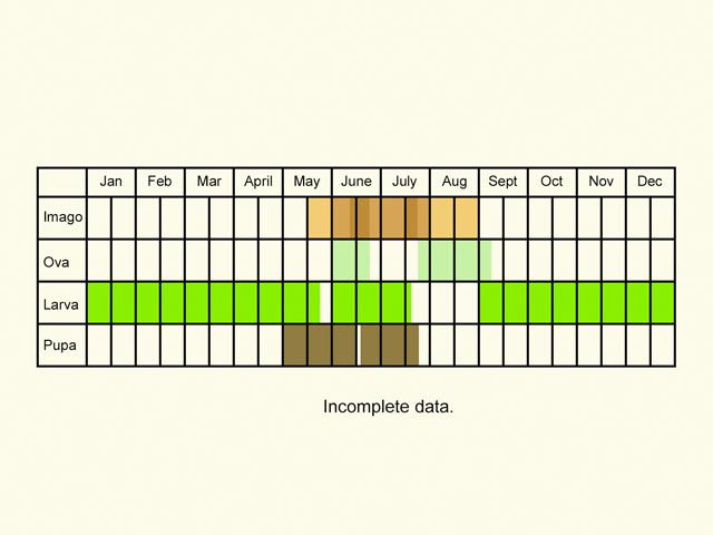  Life stages table Copyright Martin Evans 