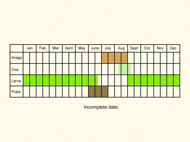  Life stages table Copyright Martin Evans 