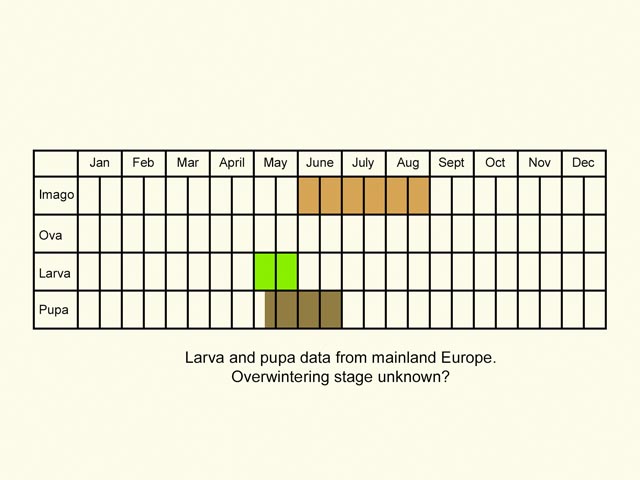  Life stages table Copyright Martin Evans 