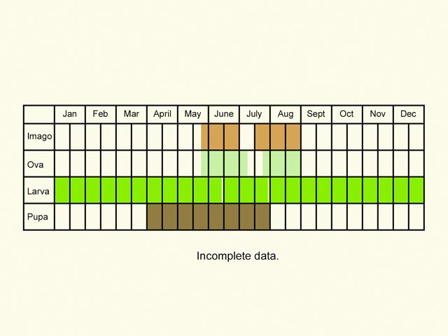  Life stages table Copyright Martin Evans 