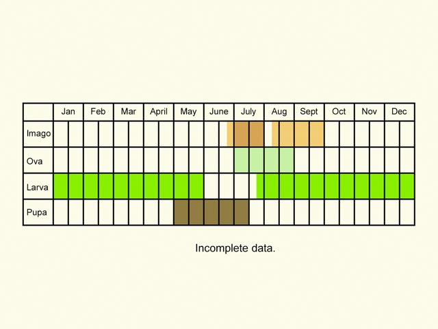  Life stages table Copyright Martin Evans 