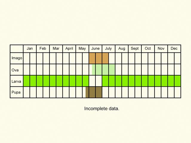  Life stages table Copyright Martin Evans 